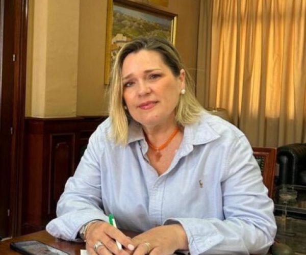 imagen-yoli-organigrama-473x1024